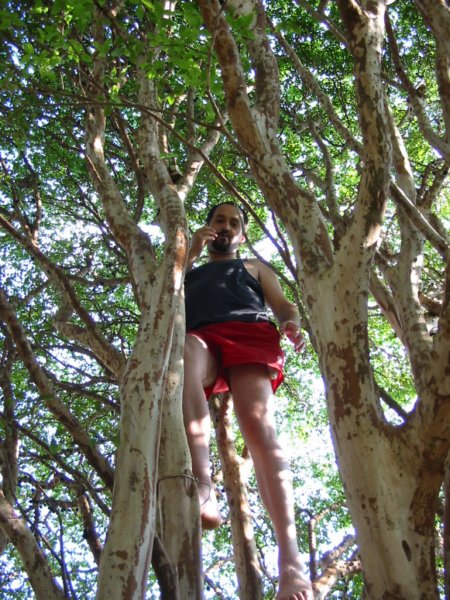 pdejabuticaba.jpg