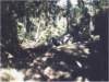 pedreiras_cachoeira_rio_melo_small.jpg