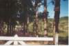 sitio_tanquinho_1_small.jpg