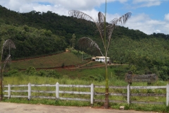 Algumas Fotos Mais Recentes — imagem 5