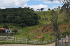 Algumas Fotos Mais Recentes — imagem 7