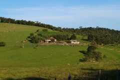 Algumas Fotos Mais Recentes — imagem 11