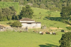 Algumas Fotos Mais Recentes — imagem 13