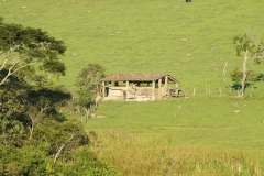 Algumas Fotos Mais Recentes — imagem 14