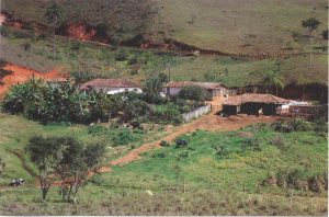 BROA QUENTINHA COM CHEIRO DE ASSAPEIXE