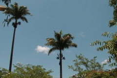 SAM_0129