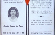 geraldapereiradecastro
