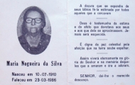 marianogueiradasilva