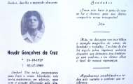 naudirgonalvesdacruz