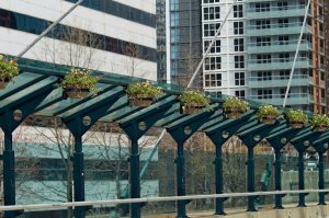 Urban Architecture Downtown Toronto