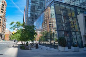 Reflection - College Street