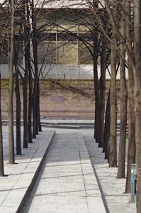 City Ornamentation - Trees Lined Up