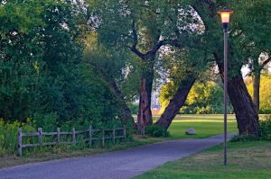 Toronto Island - Pathway Lamp Post 